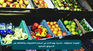 تغيرات ملحوظة.. تحديث يوم الأحد في أسعار الخضروات والفاكهة عبر الأسواق المحلية